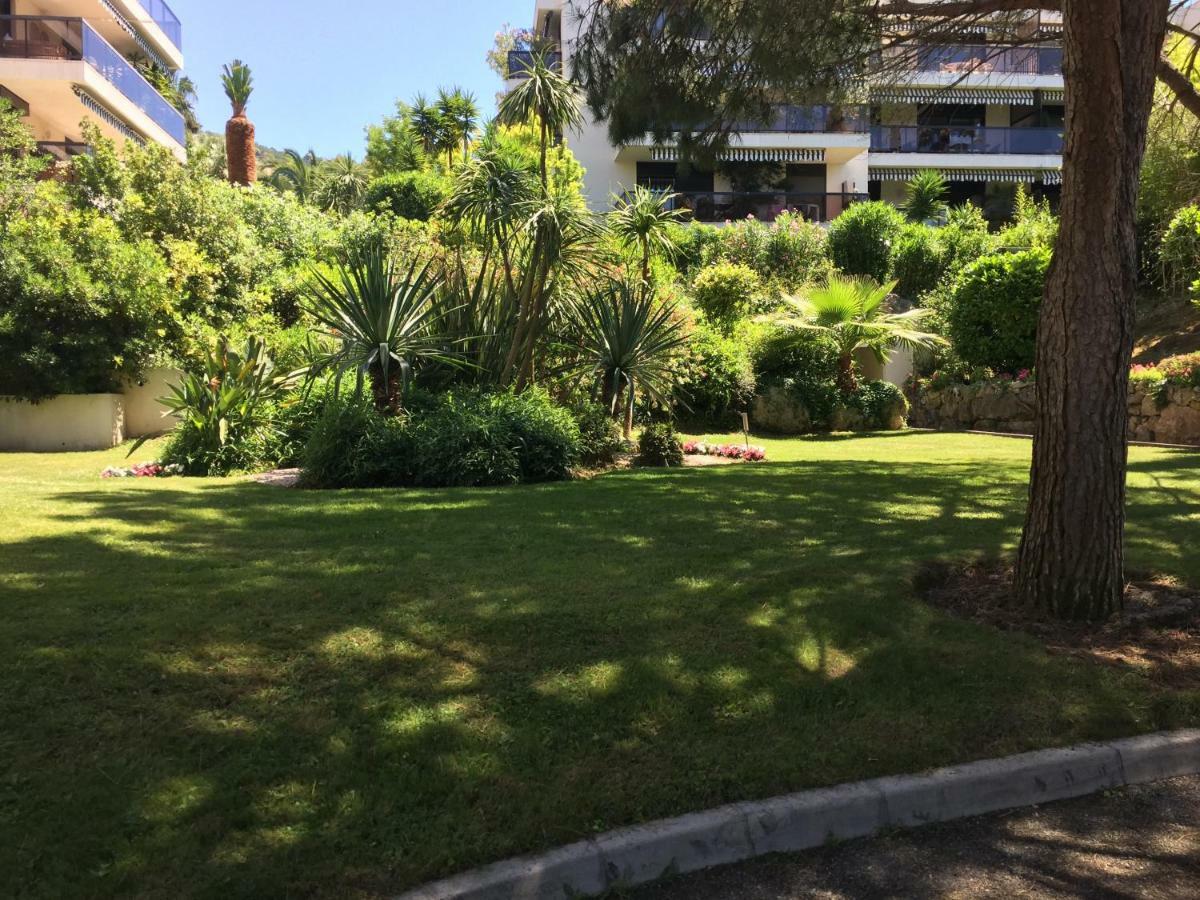 Un Coin De Paradis Cannes